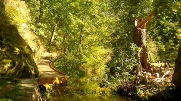 Vlašimský park skrývá spoustu tajuplných zákoutí