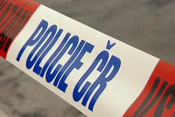 Policie pátrá po dvojici vykrádající automobily. Na svědomí mají mít desítky případů v celé zemi