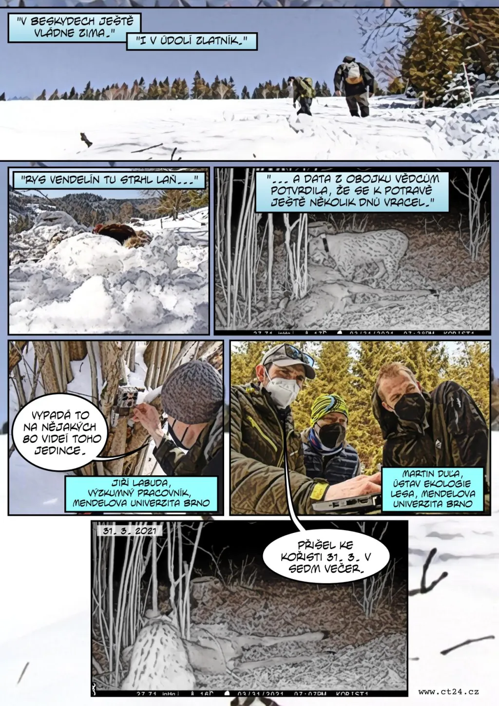 Rys ostrovid v Beskydech