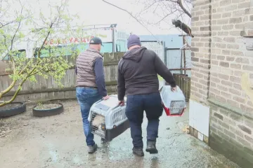 „Samozřejmě, že je tu nenecháme.“ Lidé se z Kramatorsku evakuují i s mazlíčky