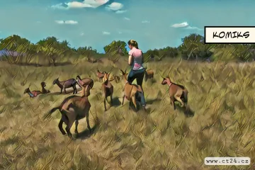 Kozy a ovce opět na Pálavě. Na tamní kopce je vrátil projekt ochránců přírody