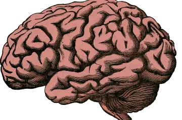 Vědce překvapila teplota lidského mozku. Zjištění by mohlo pomoci s diagnózou poruch