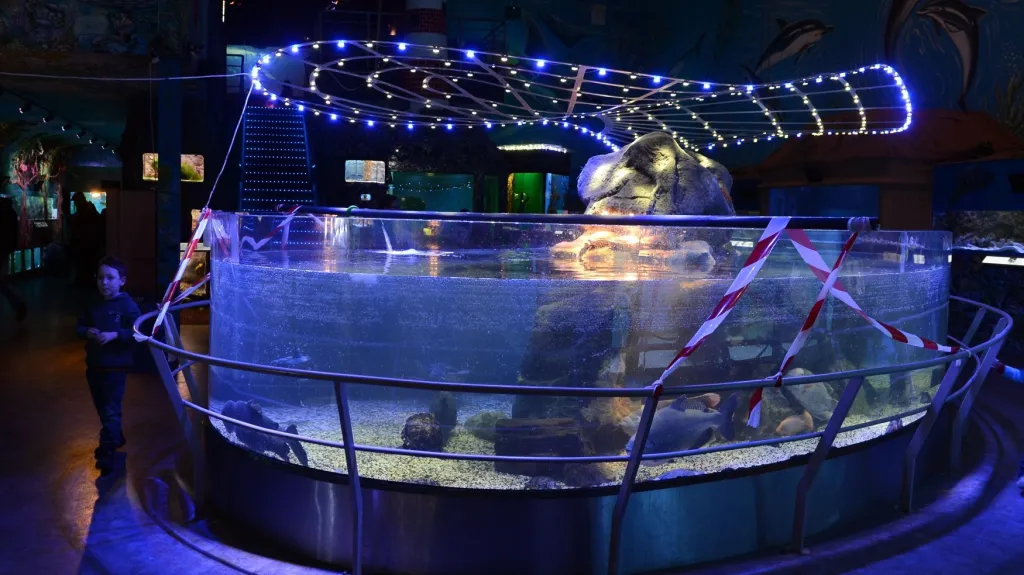 Akvárium v Mořském světě