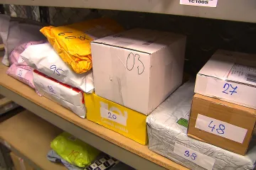 Koronavirus doporučeně do vlastních rukou? Strach z čínských zásilek je zbytečný, virus nepřežije cestu