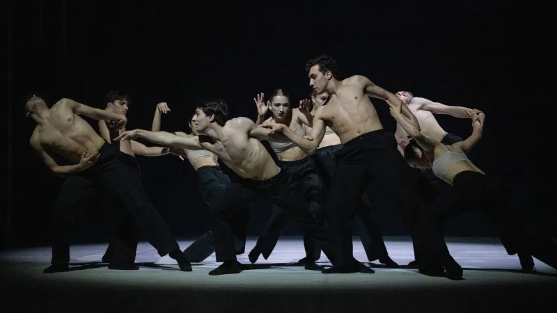 Z choreografie A healthy dose of madness