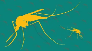 Ilustrační grafika