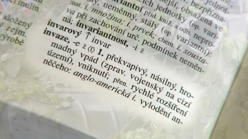 Západ se slovu "invaze" raději zatím vyhýbá
