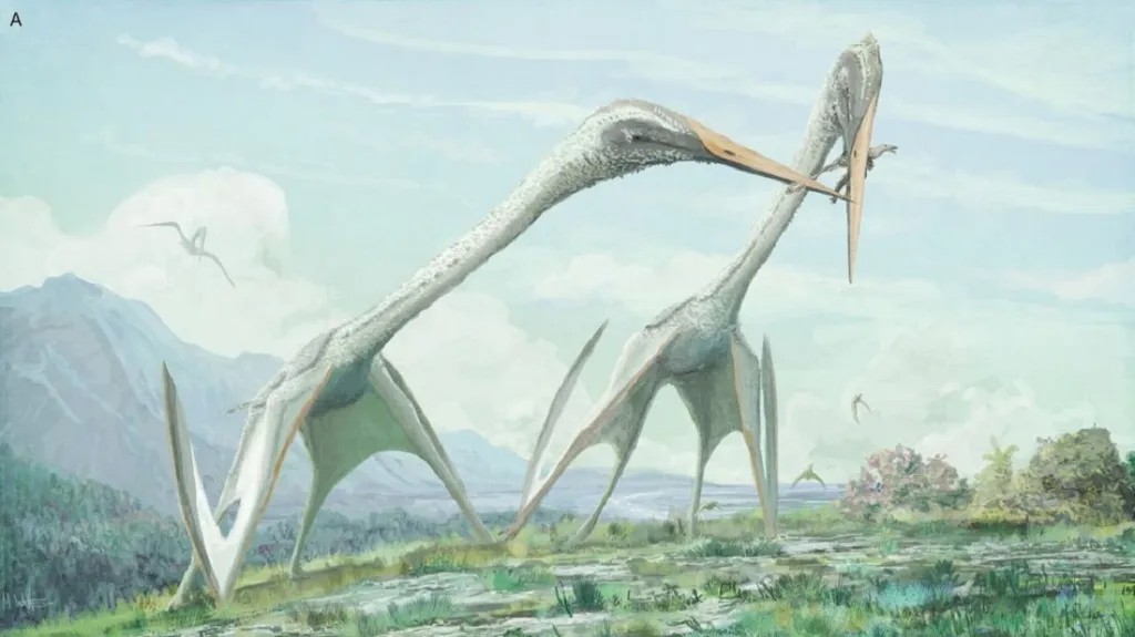 Hatzegopteryx