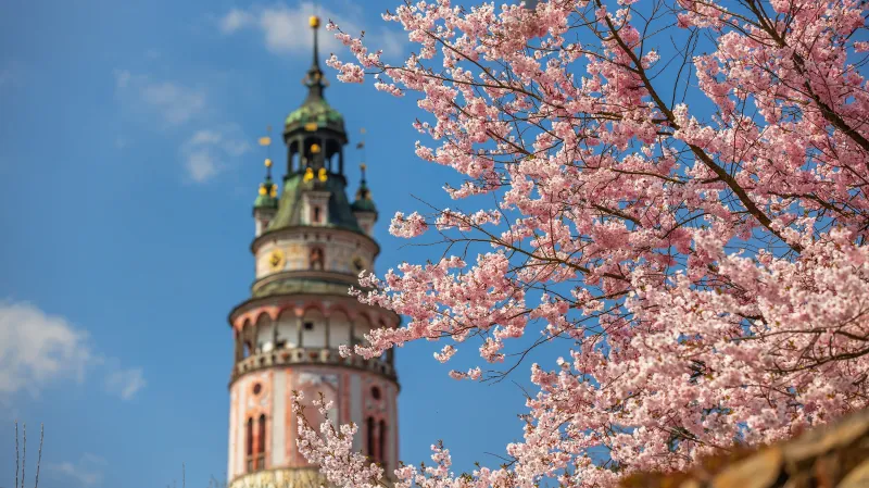 Zámecká věž Český Krumlov