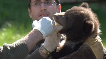 Medvíďata poprvé prohlédl veterinář