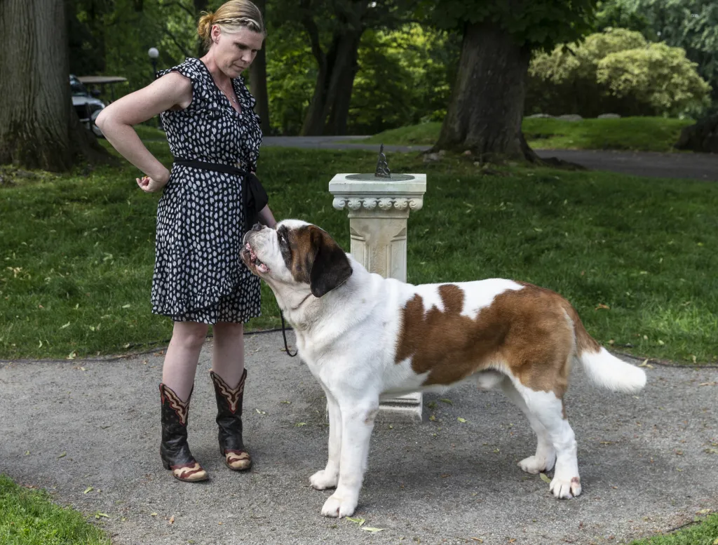 Jedna z nejstarších přehlídek psů na světě pořádaná klubem Westminster Kennel Club Dog našla nové místo v zahradách gotické usedlosti zvané Lyndhurst Mansion