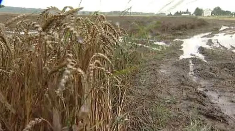 Reportáž Michala Keborta