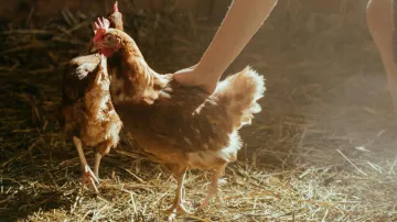 Ilustrační snímek