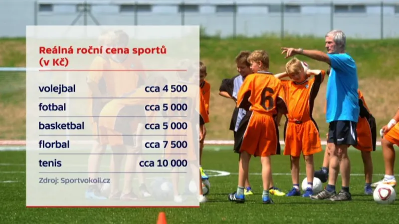 Roční ceny sportů