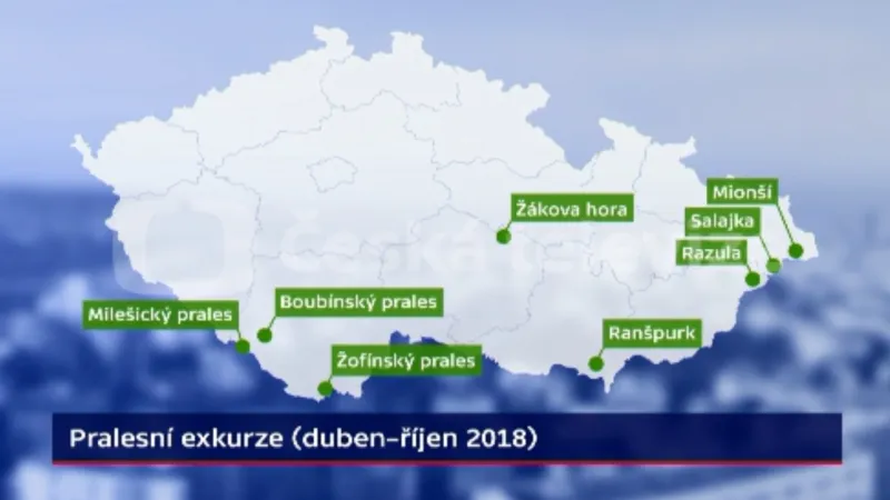 Mapa pralesů v ČR