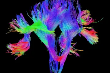 Týden ve vědě: Od genové léčby epilepsie po prvního kojícího muže