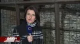 Reportáž Lucie Komňacké