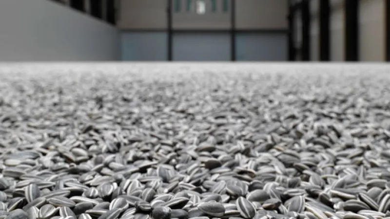 Aj Wej-wej / Sunflower Seeds 2010