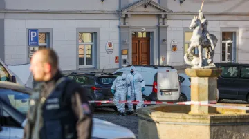 Policejní složky operují v okolí místa střelby v Chřibské