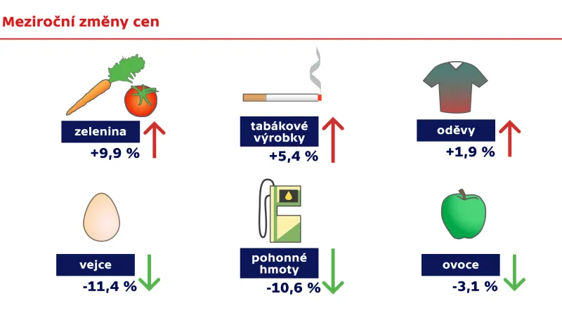 Meziroční změny cen