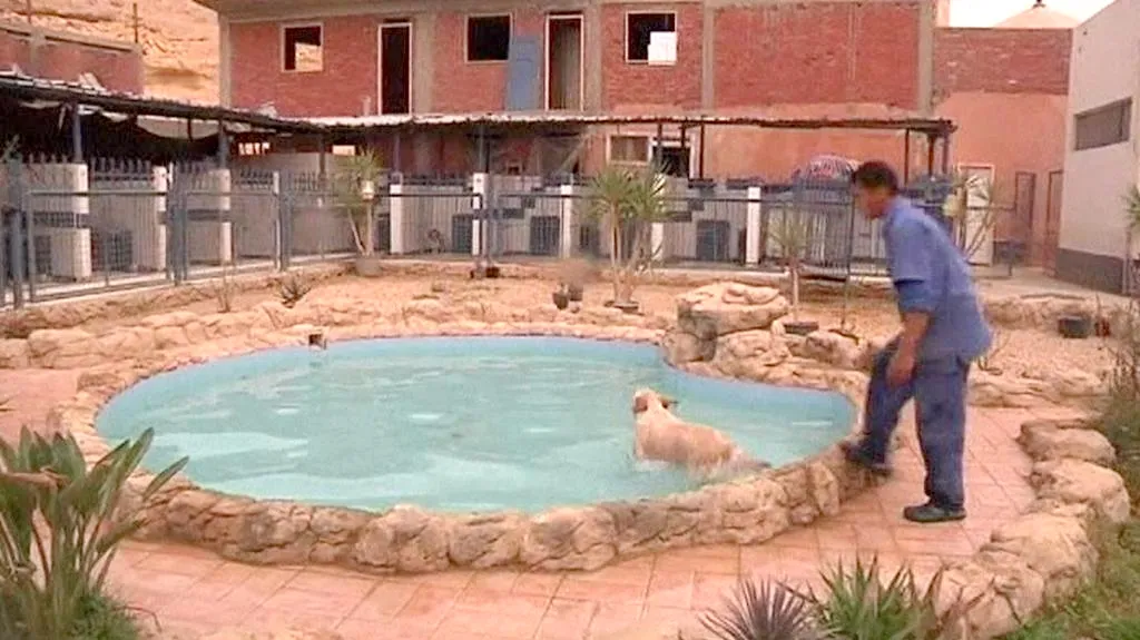Bazén psího hotelu