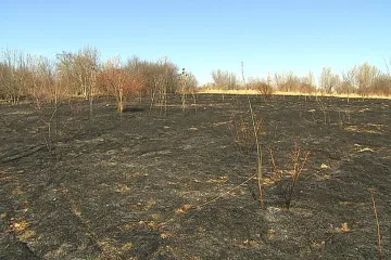 Rekordní sucho ohrožuje zemědělce a působí požáry