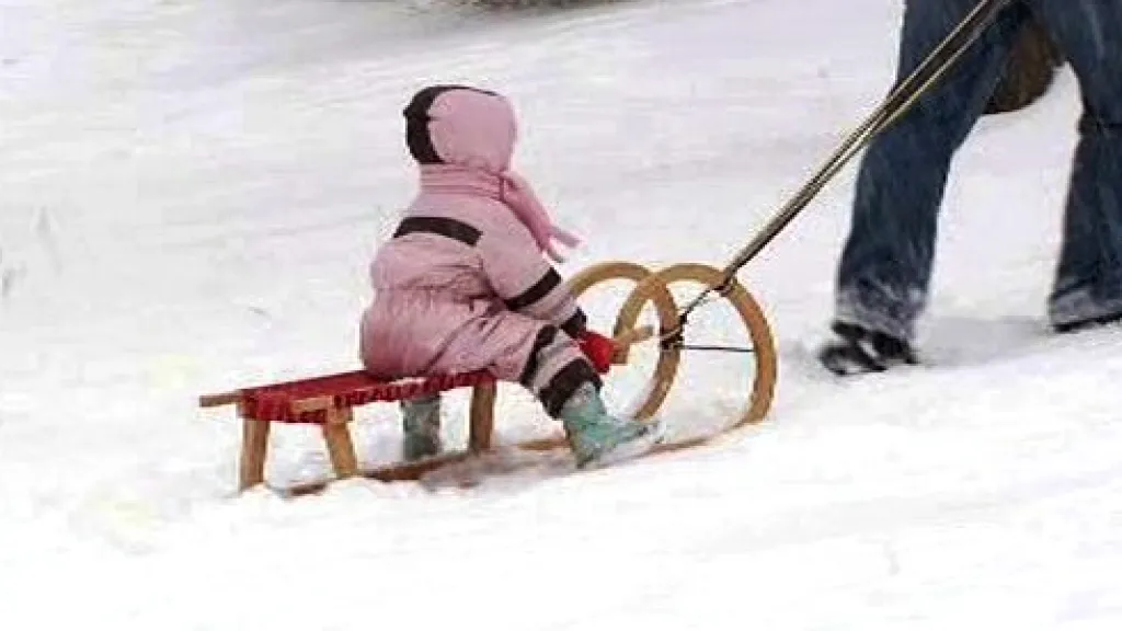 Sáňkování