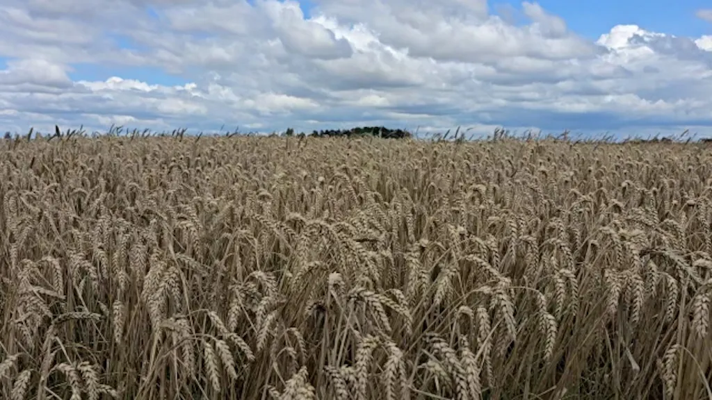 Ilustrační fotografie