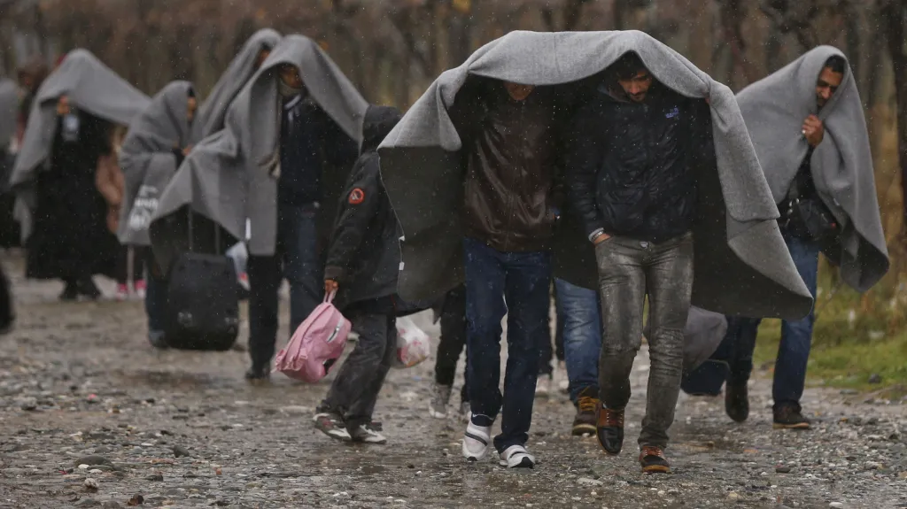 Migranti