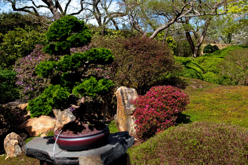 Dalším důležitým bodem, který v tuto chvíli zahrada řeší, je velká úprava okolí a dostavba vstupního pavilonu u tropického skleníku Fata Morgana