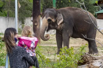 Kandidáti na šéfa ústecké zoo představili své plány. Pšenková chce vzácné chovy, Fejk otevřené expozice