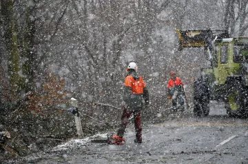 Škody po vichřici Eberhard přesáhly 150 milionů
