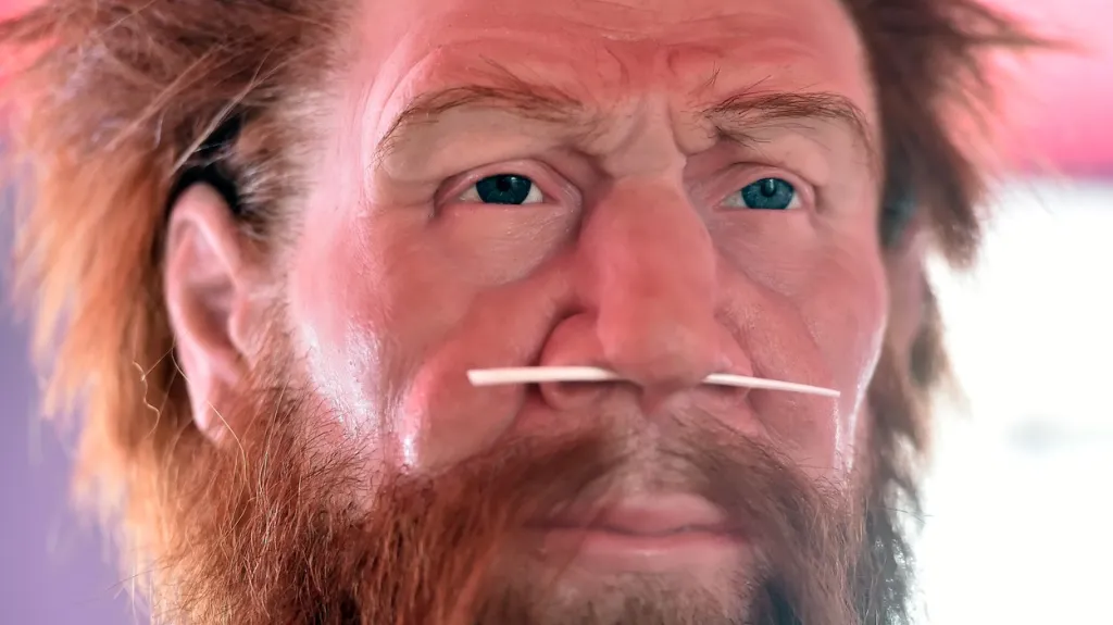 Vizualizace pravěkého člověka