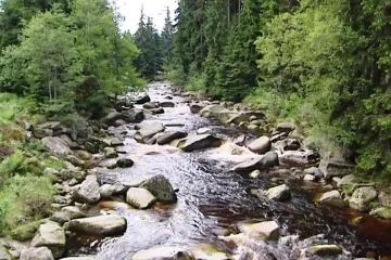 Jihočeský kraj vytáhl do boje o podobu Šumavy. Zažaloval národní park a ministerstvo životního prostředí
