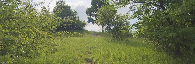 Výkup pozemků dává šanci ohroženým druhům rostlin a živočichů