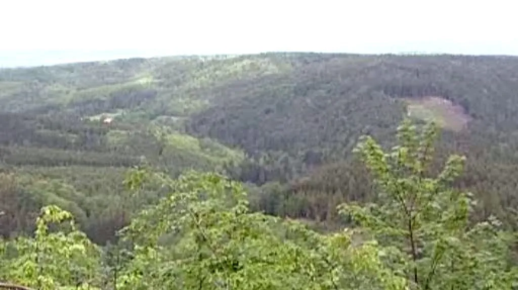 Lesy na Karlovarsku