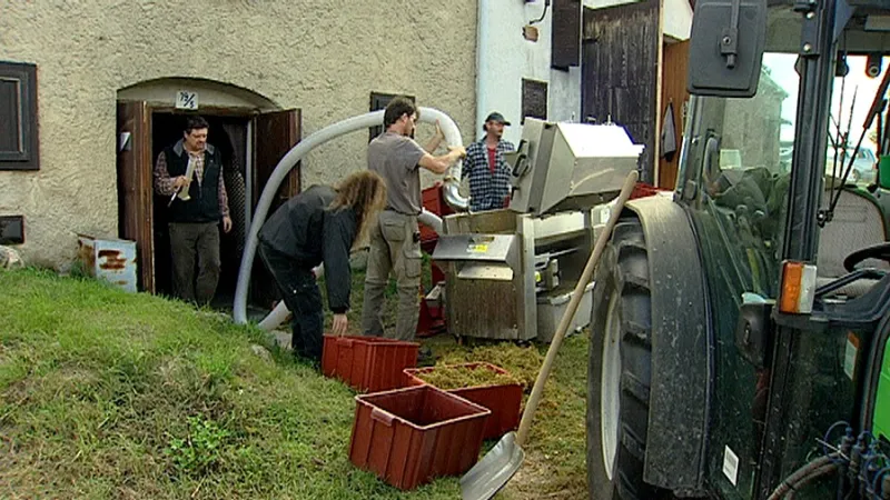Vinařům ze Šaldorfu se nelíbí změny územního plánu