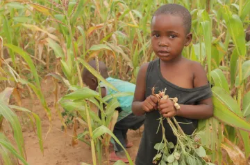 Třetina dětí mladších pěti let trpí hladem nebo nadváhou. Největší problém je nevhodná strava, varuje UNICEF