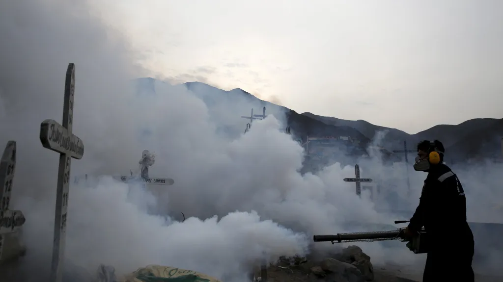 Hubení komárů přenášejících virus zika