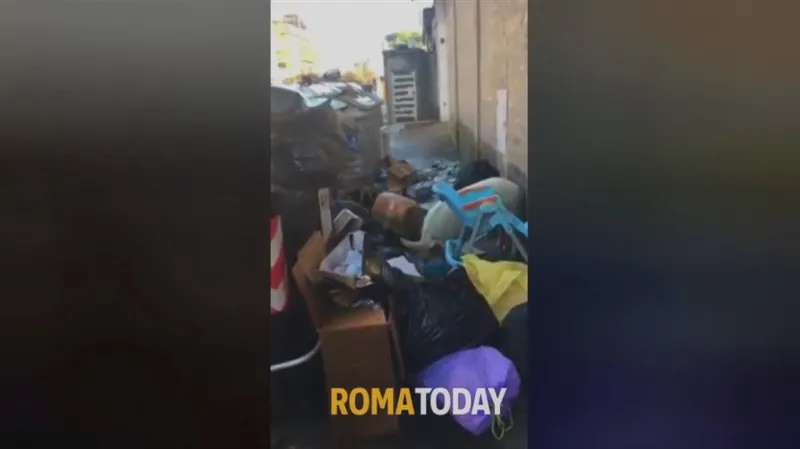 Prase hoduje na odpadcích v ulicích Říma