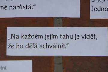 Legendy Gr2 aneb K jejím obrazům jsem neměl co říct, to je co říct