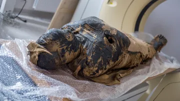 První těhotná mumie