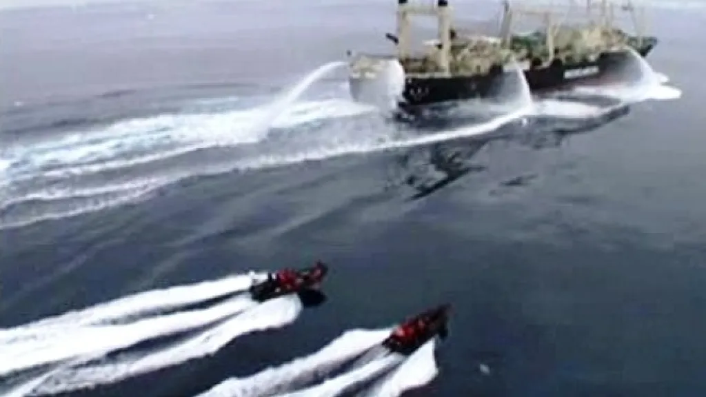 Střet ochránců a lovců velryb