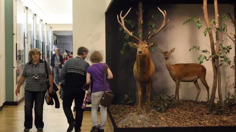 Muzejní noc v Moravském zemském muzeu (2011)