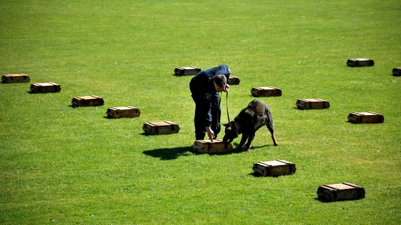 Mezinárodní mistrovství služebních psů ve vyhledávání drog a tabáku