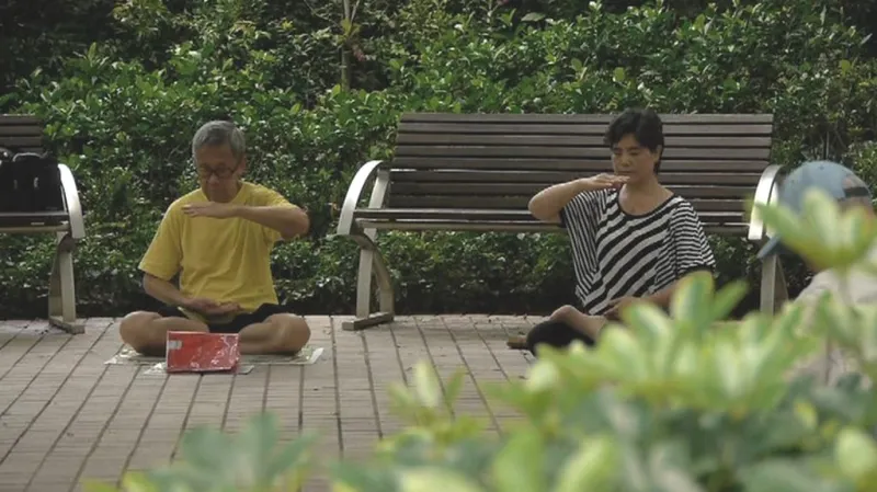 Členové hnutí Fa-lun-kung