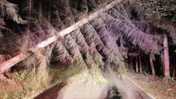 Následky silného větru v Královéhradeckém kraji