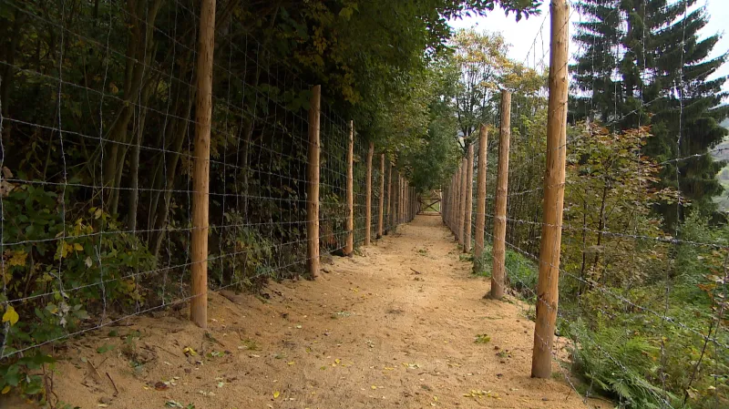 Replika jáchymovského pracovního tábora z 50. let