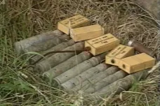 30 let zpět: Houby a munice