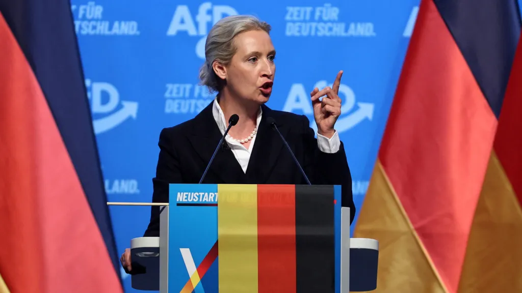 Alice Weidelová, spolupředsedkyně strany Alternativa pro Německo